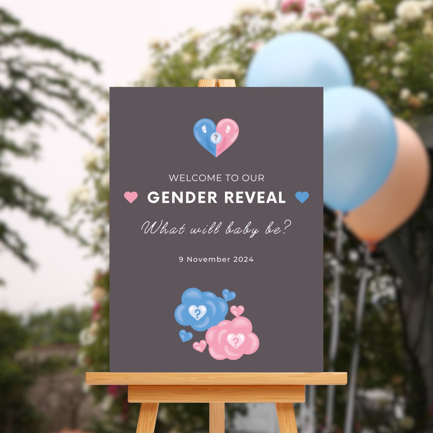 Personalised Gender Reveal Sign Board - Pink & Blue Theme - Customised Baby Shower Decor