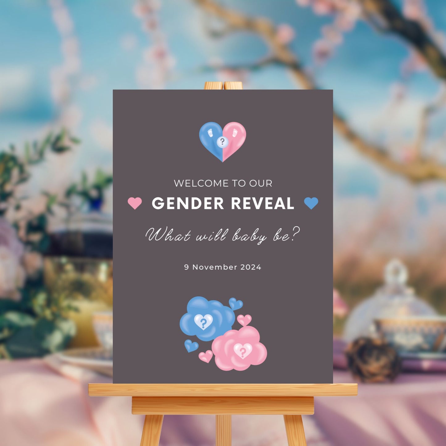 Personalised Gender Reveal Sign Board - Pink & Blue Theme - Customised Baby Shower Decor