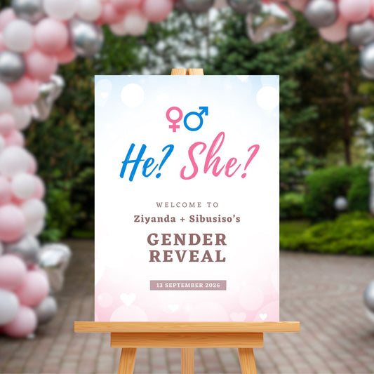 Gender Reveal Welcome Sign Board - Blue & Pink "He? She?"